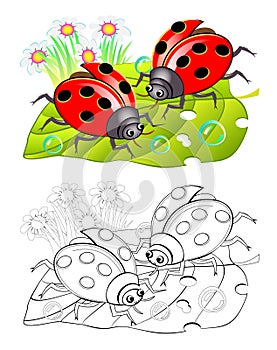 Two cute ladybirds sitting on a leaf. Colorful and black and white page for coloring book for kids.