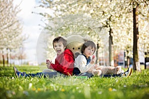 Two cute little children, boy brothers, eating strawberry in the