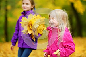 Two cute little girls having fun on beautiful autumn day. Happy children playing in autumn park. Kids gathering yellow fall foliag