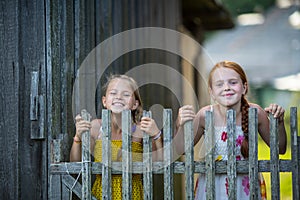 Two cute little girls looking through a wooden fence. Game.