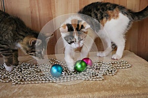 Two little kittens stand on a shelf and play with colorful Christmas balls