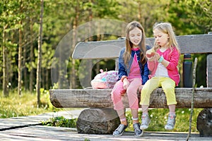 Two cute little sisters having fun during forest hike on beautiful summer day