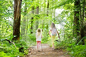 Two cute little sisters having fun during forest hike on beautiful summer day. Active family leisure with kids.