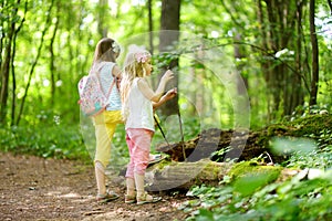 Two cute little sisters having fun during forest hike on beautiful summer day. Active family leisure with kids.