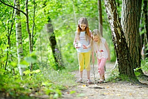 Two cute little sisters having fun during forest hike on beautiful summer day. Active family leisure with kids.