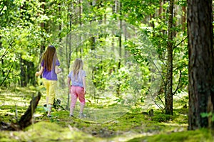 Two cute little sisters having fun during forest hike on beautiful summer day. Active family leisure with kids.