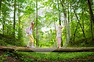 Two cute little sisters having fun during forest hike on beautiful summer day. Active family leisure with kids.