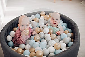 Two cute little toddler posing sitting in bucket with colorful balls having fun