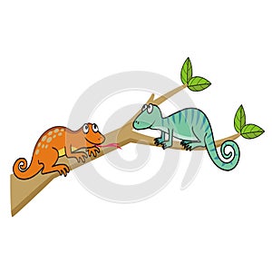 Two cute lizards on a tree branch