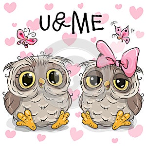 Two Cute Owls