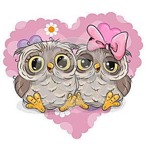 Two Cute Owls