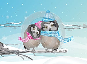 Two cute owls in Winter Wonderland, sitting on a branch