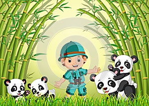 Two cute panda in a bamboo forest