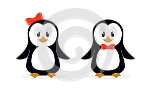 Two cute penguins on white background