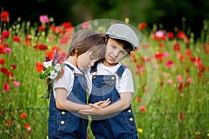 Two cute preschool children, boy brothers, in poppy field, holding a bouquet of wild flowers