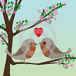 Two cute robins in love