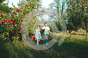 Two cute siblings carring baskets full of ripe apples, holding hands and talking on their way home.