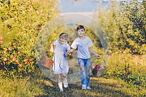 Two cute siblings carring baskets full of ripe apples, holding hands and talking on their way home.