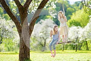 Two cute sisters having fun on a swing in blossoming old apple tree garden outdoors on sunny spring day