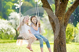 Two cute sisters having fun on a swing in blossoming old apple tree garden outdoors on sunny spring day