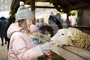 Two cute young sisters having fun feeding sheep in a small petting zoo on traditional Christmas market in Riga, Latvia. Happy