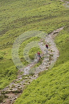 Two Cyclists On Countryside Track