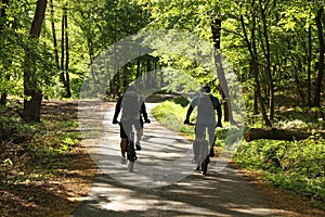 Two cyclists in the forest. Men on bikes during a sunny day. Photo of two men on bikes in the park from behind