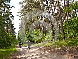 Two cyclists in green forest