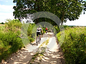 Two cyclists in green forest