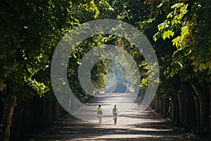 Two cyclists in the park