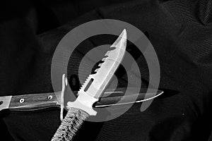 Two Daggers in Black and White