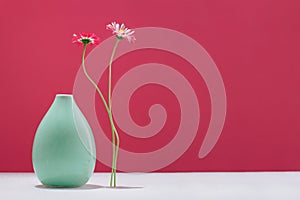 Two daisy spring flower near a tiny gren glass vase on magenta red photo