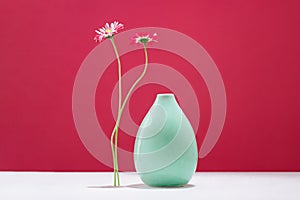 Two daisy spring flower near a tiny gren glass vase on magenta red photo