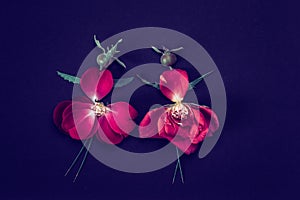 two dancing ballerinas made from red rose petals, creative ideas from flowers