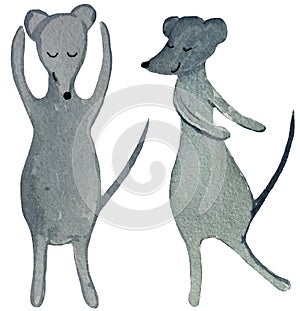 Two dancing cartoon rats on a white background. watercolor illustration for design of posters, prints, cards, magazines