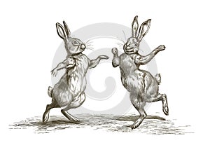 Two dancing easter bunnies. Celebration dance. Easter image. Vintage engraving