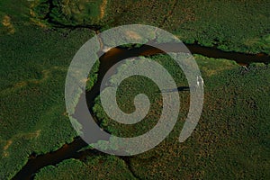 Two dancing giraffe. Aerial landscape in Okavango delta, Botswana. Lakes and rivers, view from airplane. Green vegetation in South