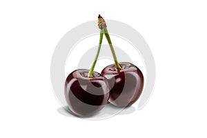 Two dark red sweet cherries with stems isolated over white background. Appetizing ripe berries with pleasant aroma. Summer harvest