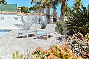 Two deck-chairs in poolside on tropical bushes and palm trees