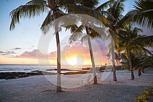 Two deck chairs under palm trees at sunset on an empty beach at