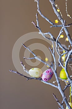 Two decorated colorful Easter eggs on tree branch indoor with warm bokeh on background