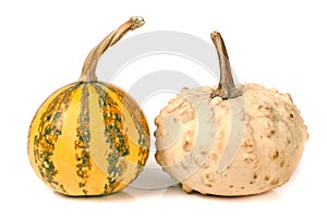 Two decorative pumpkins isolated on white background