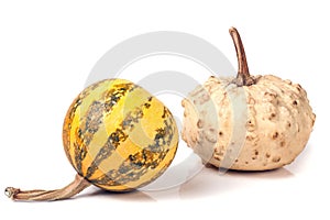 Two decorative pumpkins isolated on white background