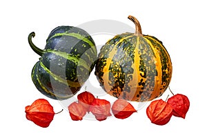 Two decorative pumpkins and physalis fruits isolated on white background