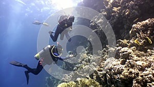 Two deepwater scuba divers swimming near coral reefs underwater in Red sea.