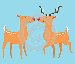 Two deer