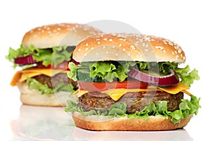 Two delicious hamburgers isolated