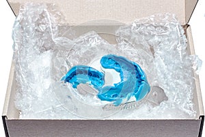 Two dental molds in a box for transportation