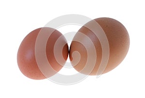 Two different eggs