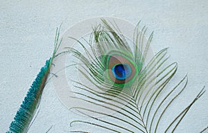 Two different peacock feathers from spiritual place ,Ujjain